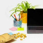 focus mix frutta secca ed essiccata still life