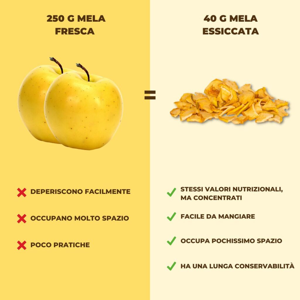 frutta fresca vs frutta essiccata