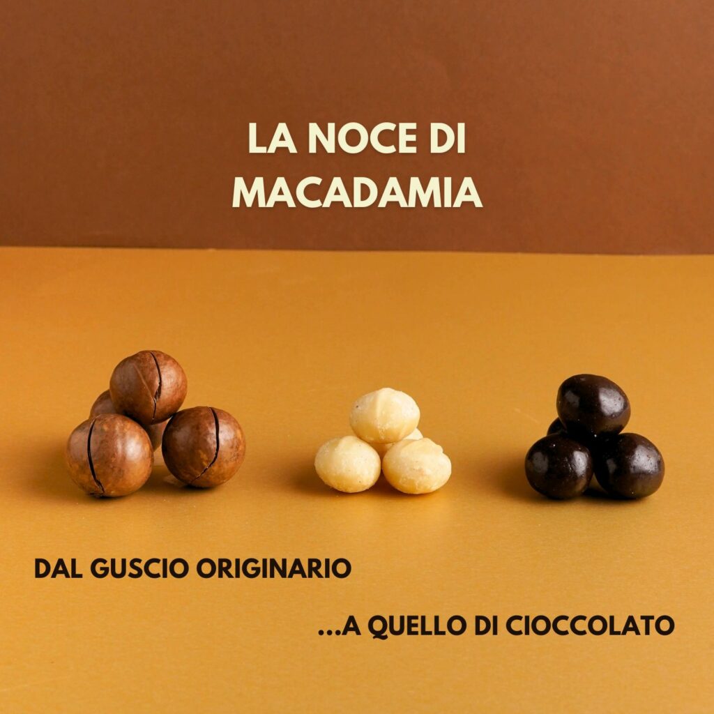 noci di macadamia ricoperte di cioccolato fondente